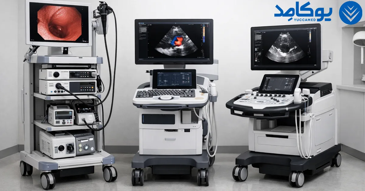 تصویر برداری