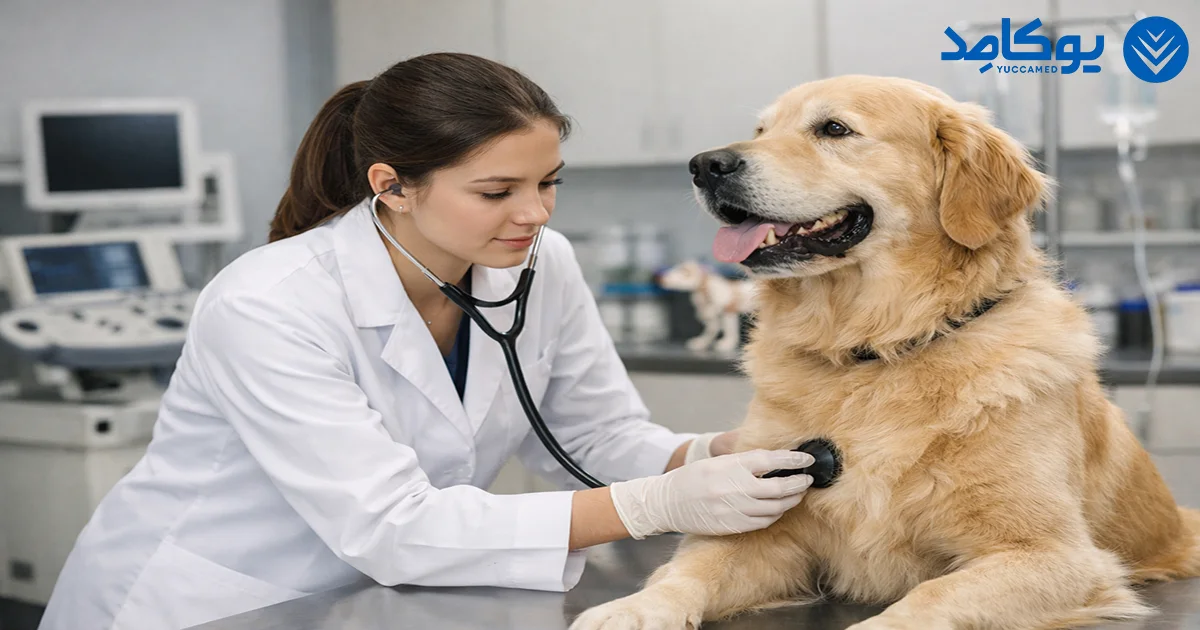 مهم ترین تجهیزات دامپزشکی ضروری برای دانشجویان