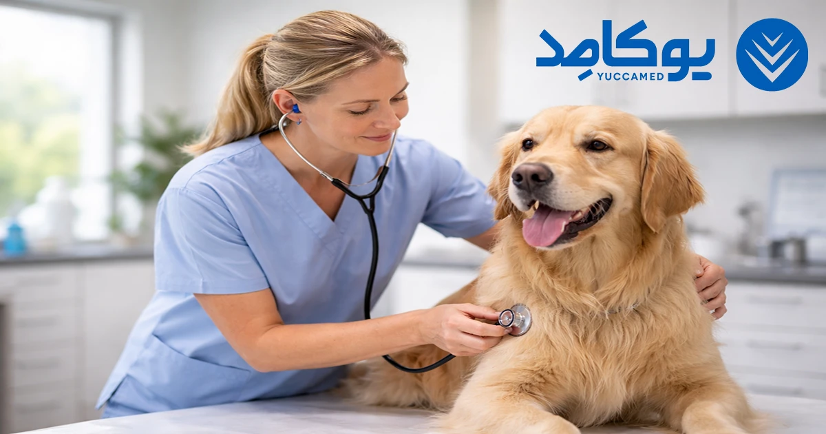 آشنایی با تجهیزات معاینه دامپزشکی، راهنمای کامل ابزارهای تشخیص سلامت حیوانات