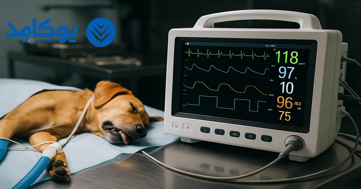 چه داده هایی روی مانیتور دامپزشکی نمایش داده می شود؟