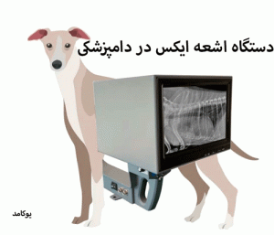 دستگاه اشعه ایکس